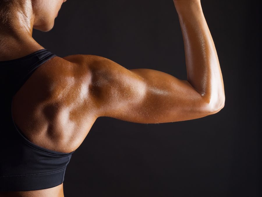 77 Fitness Premium Plan